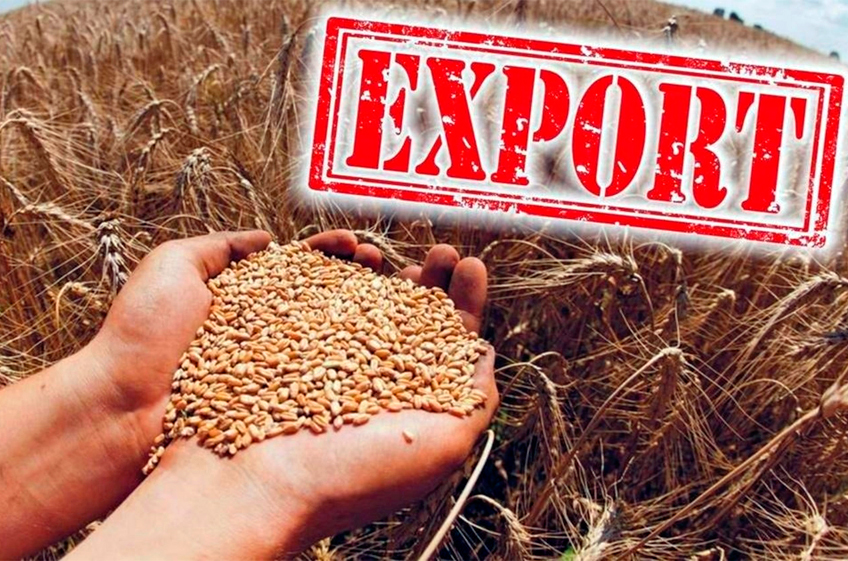 ИКАР: экспорт пшеницы из России в новом сельхозгоду может быть близким к рекорду — 50 млн тонн