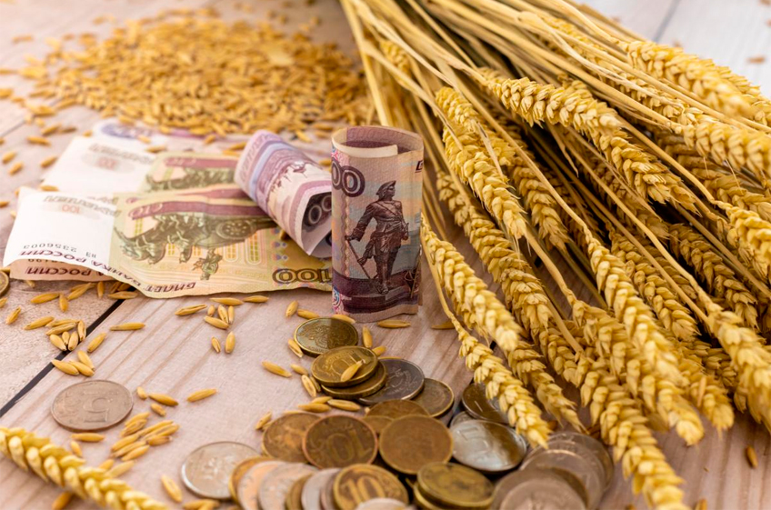 Экспортные цены на российскую пшеницу стали расти впервые с начала 2024 года