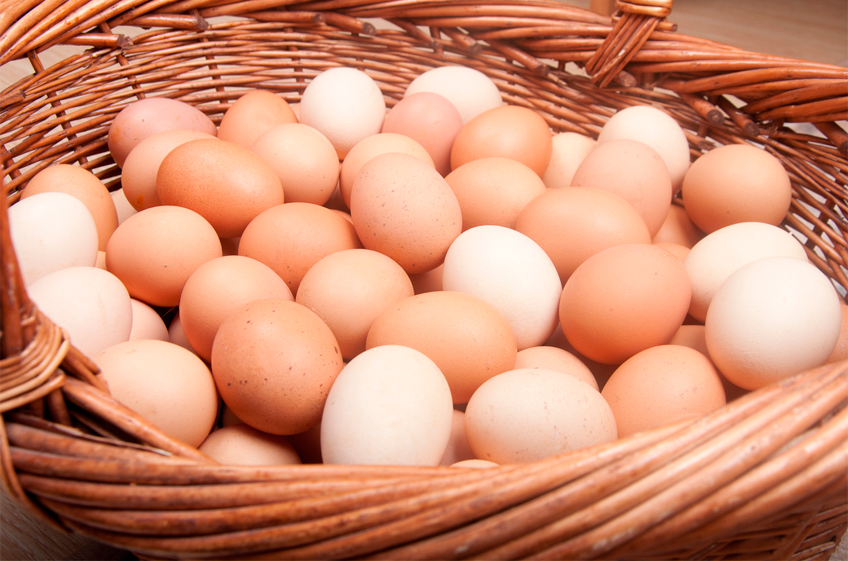 Росстат: яйца с начала года по 25 марта в России подешевели на 4,68%, мясо кур — на 3,8%