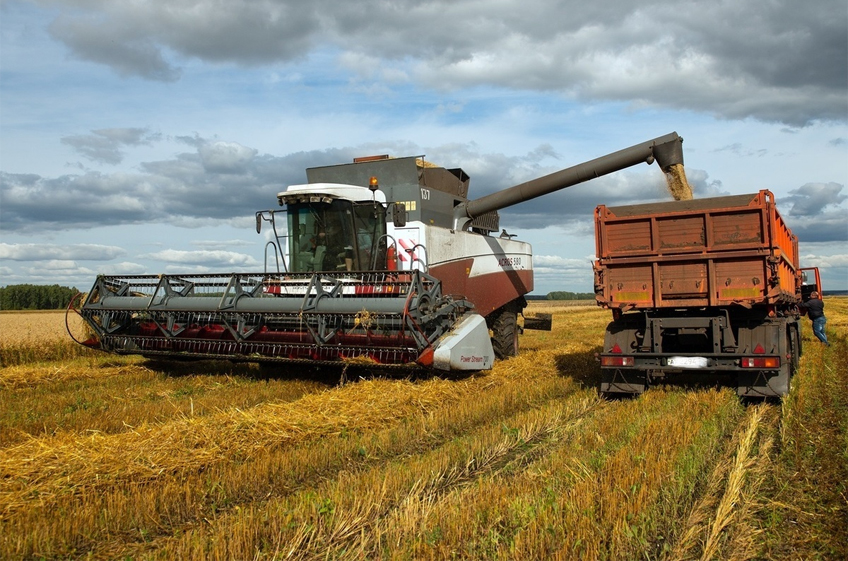 ИКАР в третий раз за месяц снизил прогноз сбора зерна в России