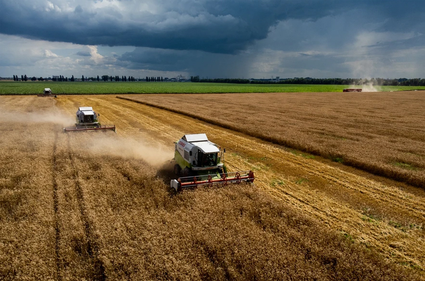 ИКАР в очередной раз снизил прогноз сбора зерна в России в этом году — теперь до 129,5 млн тонн