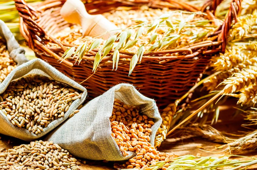 ФАО повысила прогноз мирового производства зерновых в текущем сезонеv