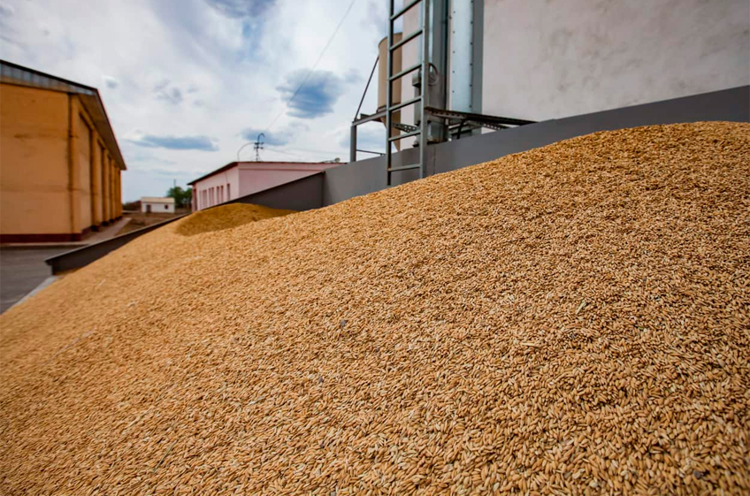 Закупки зерна в российский госфонд снизились в четверг до 3,51 тыс. тонн