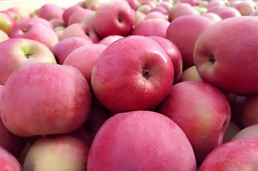 Рост цен на яблоки в России с 21 по 27 мая ускорился до 2,2%, картошка подорожала на 9,9%