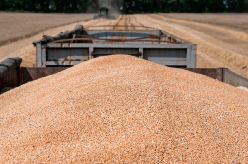 В апреле Россия сократила экспорт зерна на 4%