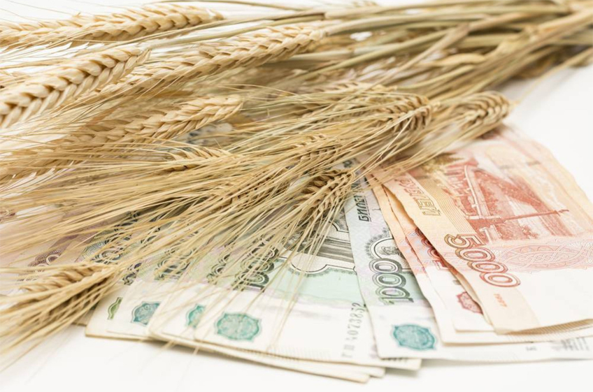 Эксперты отметили взрывной рост цен на зерно в России на прошлой неделе