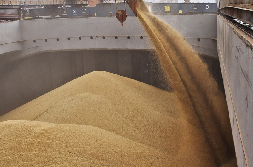 Россия с 1 по 20 мая сократила отгрузки зерна на экспорт на 18%