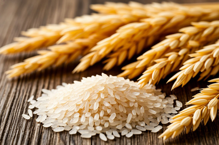 Правительство РФ установило квоту на вывоз риса в 2026 году