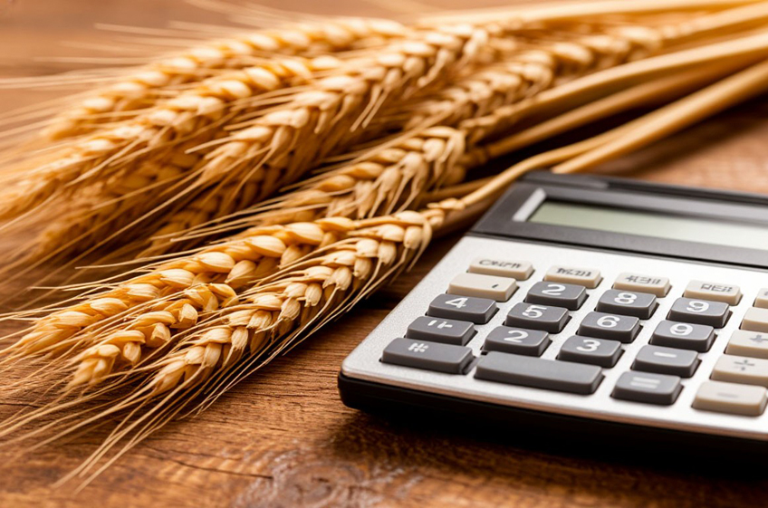 С 3 декабря пошлина на экспорт пшеницы из России понизится в 26,1 раза