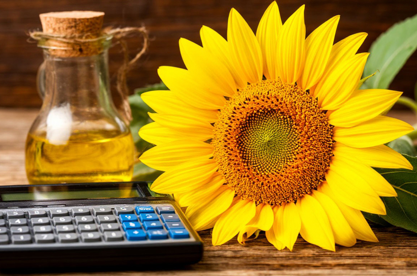 Пошлина на экспорт подсолнечного масла из России в январе 2025 года повысится на 36,5%