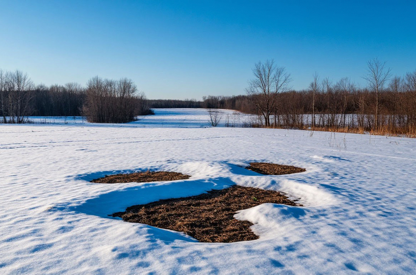 Только около 10% территории России не покрыто снегом