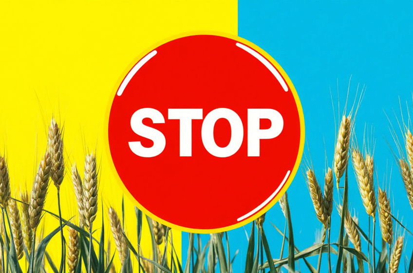 Польша сохраняет эмбарго на ввоз зерна с Украины Польша сохраняет эмбарго на ввоз зерна с Украины