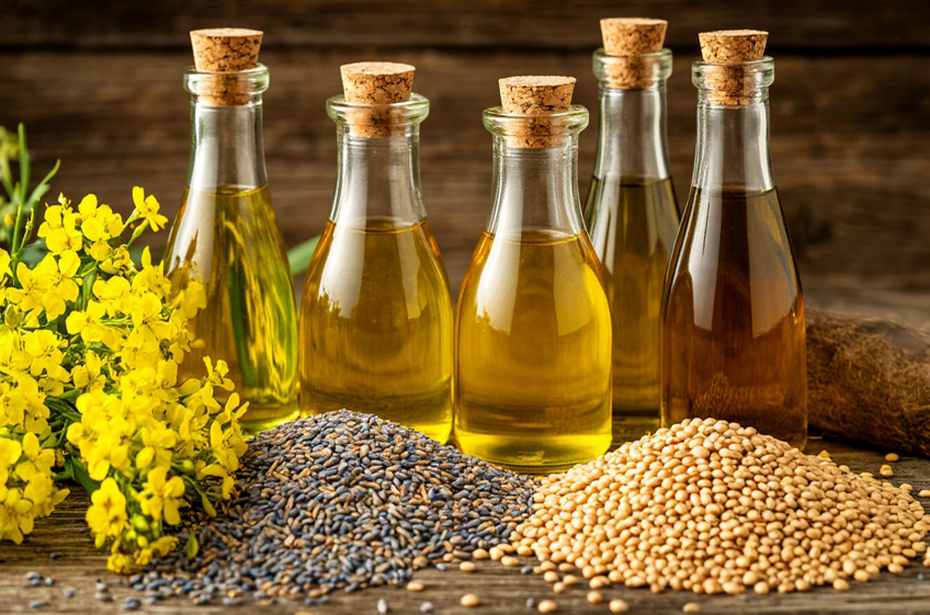 Россия с начала 2026 года увеличила экспорт масличных культур на 29%