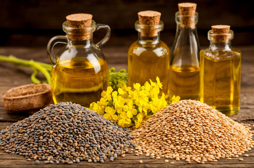 Россия с начала 2026 года увеличила экспорт растительных масел на 16%