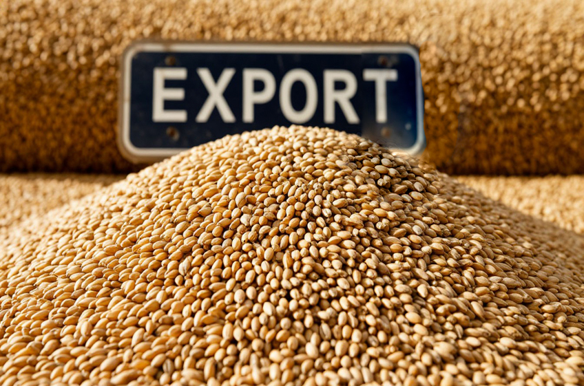 РЗС: Россия на 10,6% увеличила отгрузки пшеницы на экспорт с 1 по 20 февраля