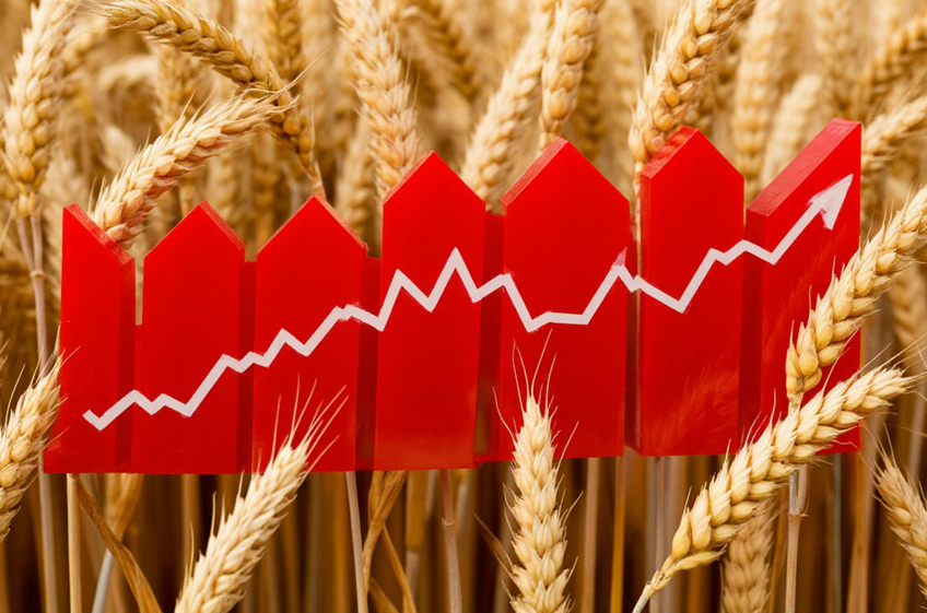 Экспортные цены на российскую пшеницу продолжают расти вторую неделю подряд