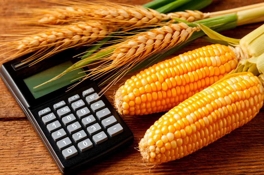 Экспортная пошлина на пшеницу из России с 1 апреля вырастет до 707,8 рублей за тонну, на кукурузу — до 212,2 рублей